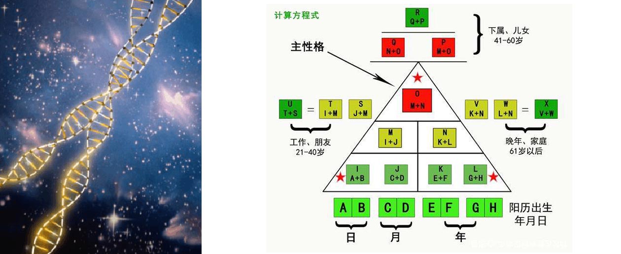 bti体育·(中国)官网平台首页